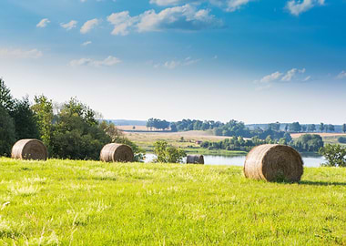 Summer Meadow Landscape