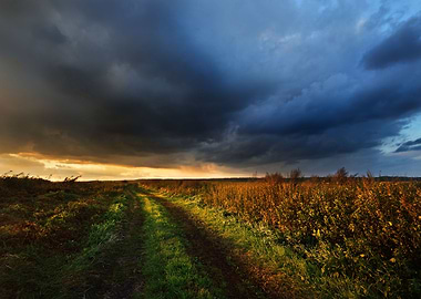 Road In The Field And The