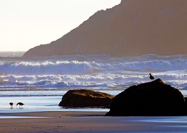 Stunning Backgrounds