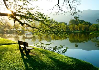 Wooden Chair At Lake Garde