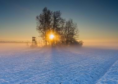 Beautiful Winter Field Lan