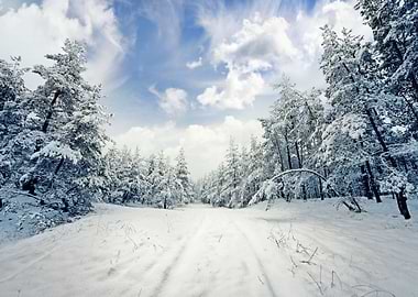Winter Scene Road And Fore