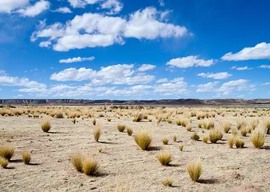 Stunning Backgrounds
