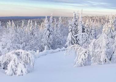 Stunning Backgrounds