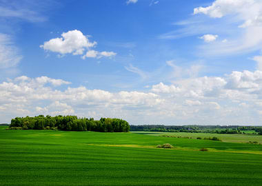 Classic Rural Landscape Gr