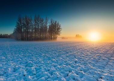 Beautiful Winter Field Lan