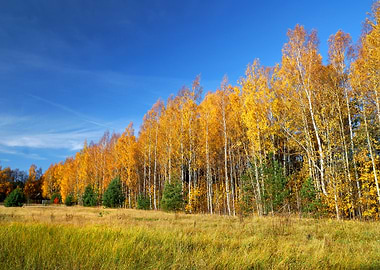 Classical Autumn Landscape
