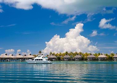 Stunning Backgrounds