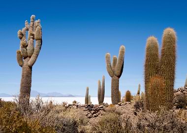 Stunning Backgrounds