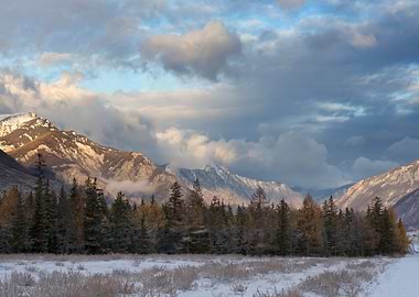 Stunning Backgrounds
