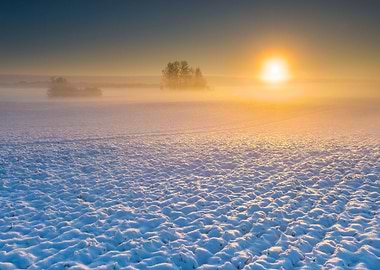Beautiful Winter Field Lan