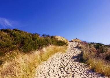 Stunning Backgrounds