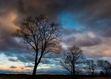 Stormy Sky Over Field And