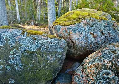 Stunning Backgrounds