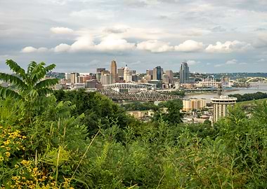 The Cincinnati Skyline