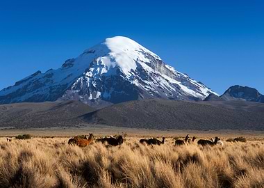 Stunning Backgrounds