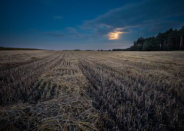 Stubble Field Under Rising