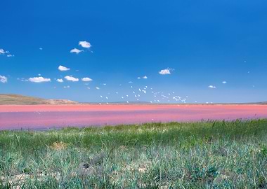 Beautiful Pink Mud Lake