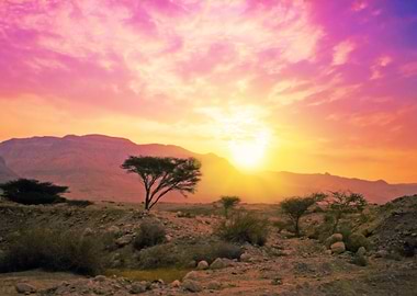 Magic Sunset In Savannah