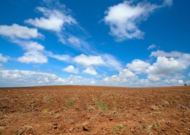 Plowed Field With Beautifu