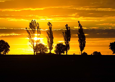 Beautiful Vibrant Sunset O