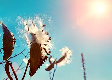 Vintage Toned Autumn Theme