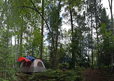 Forest Tent Camping