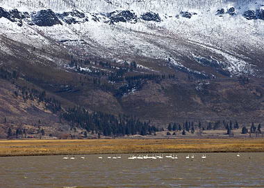 Stunning Backgrounds