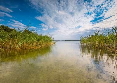 Beautiful Lake Shore With