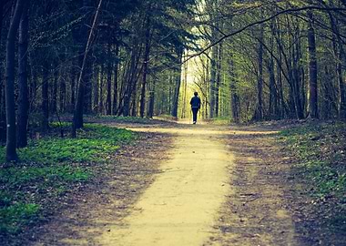 People Play Sport In Fores