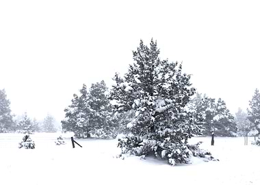 Stunning Backgrounds