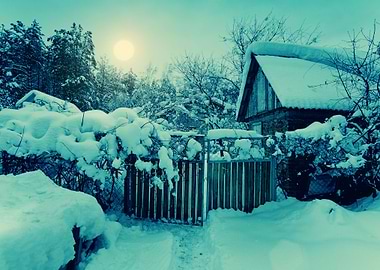 Night Rural Snowy Landscap