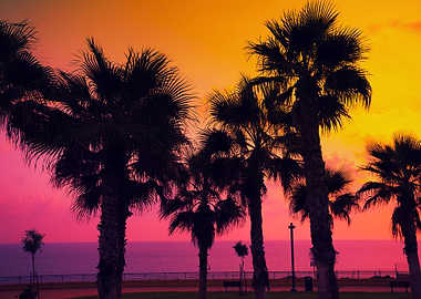 Tropical Beach With Palm T