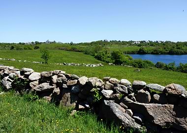 Block Island Countryside