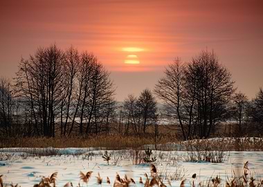 Beautiful Winter Sunset