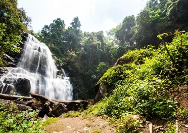 Water Fall In Spring Seaso
