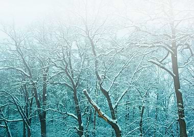 Blue Vintage Faded Foggy S