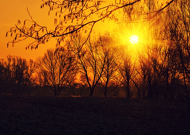 Rural Landscape At Sunset