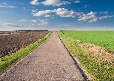 Asphalt Road In Landscape