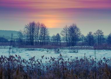 Beautiful Winter Sunset Ov