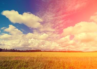 Sinrise Over Field With Cl