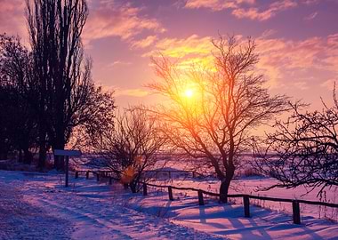 Winter Rural Landscape At