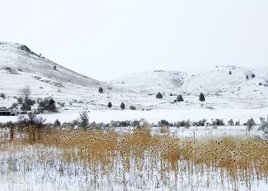 Stunning Backgrounds