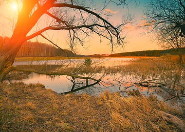 Misty Autumn Landscape At