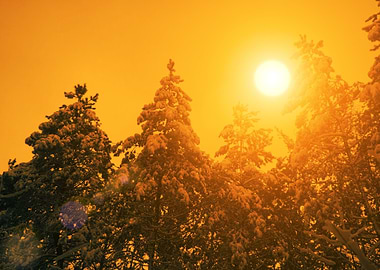 The Sun Over The Winter Pi