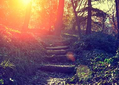 Botanical Garden In Tbilis