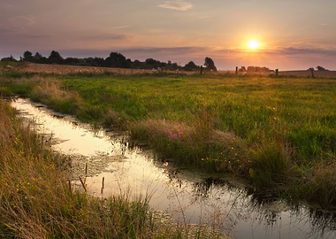 Wild River Landscape