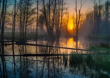 Beautiful Sunrise Over Fog