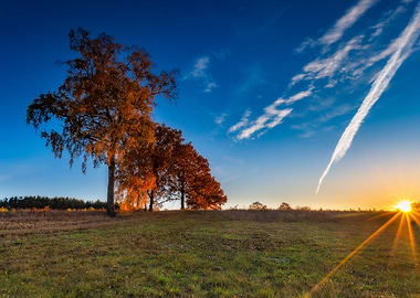Autumnal Grassland Landsca