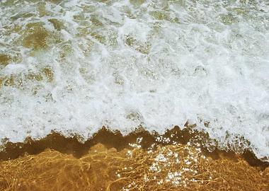 Sparkling Ocean Scene Back